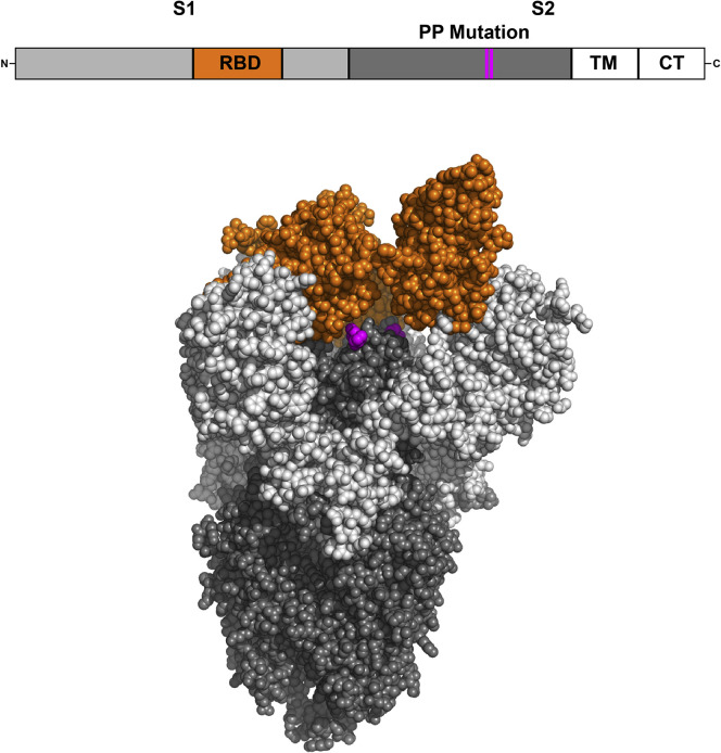 Figure 1