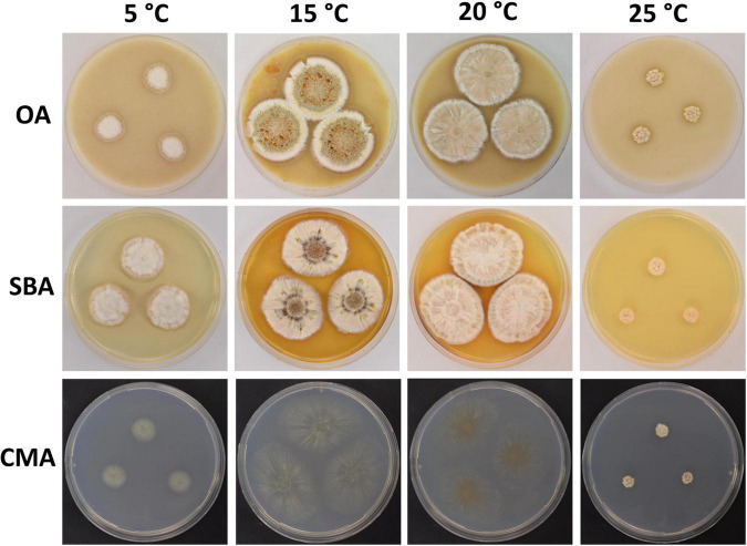 FIGURE 4