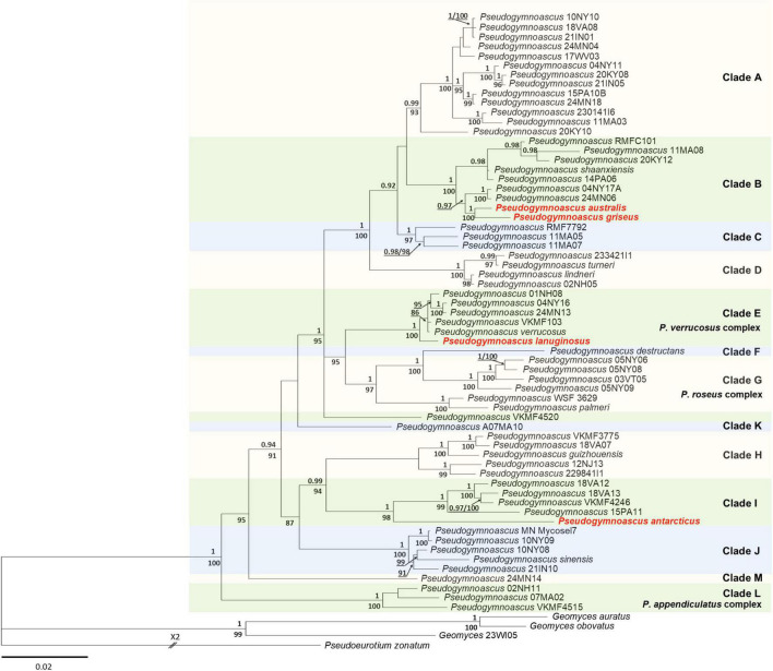 FIGURE 1