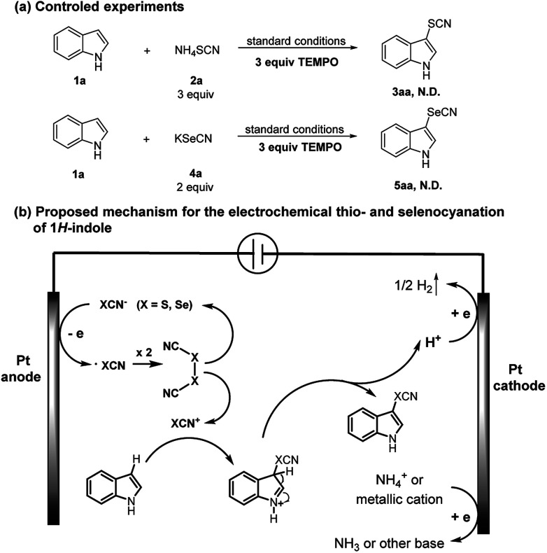 Scheme 5