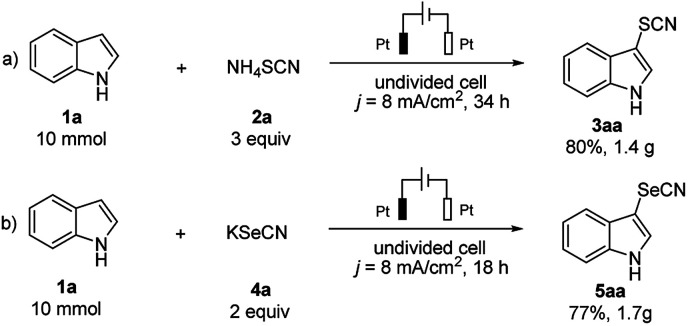 Scheme 4