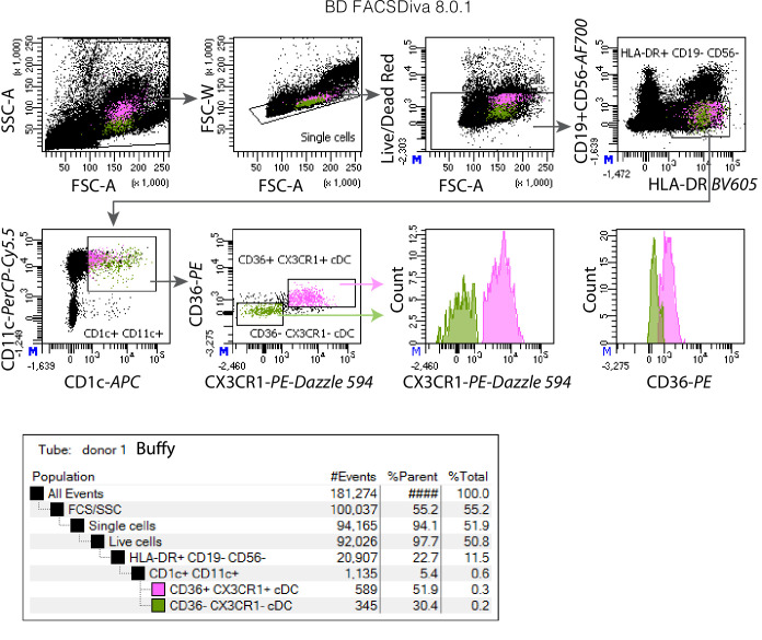 Figure 4—figure supplement 1.