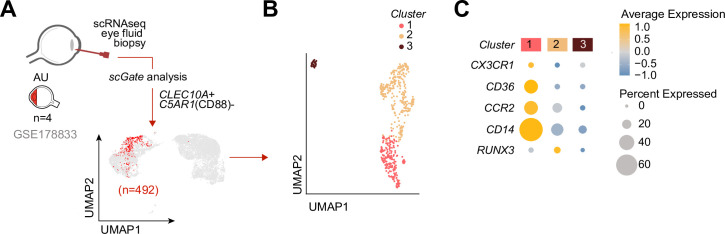 Figure 5.