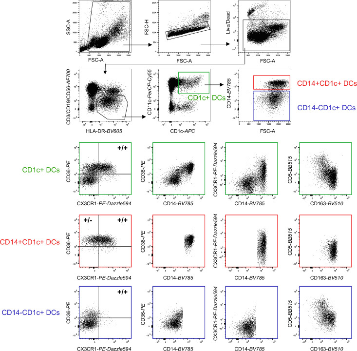 Figure 3—figure supplement 3.