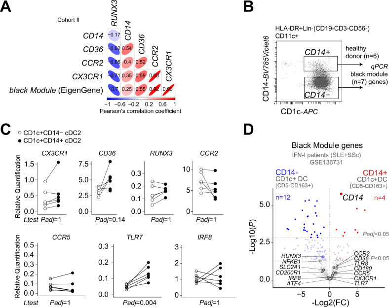 Figure 3—figure supplement 2.