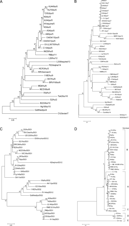 FIG. 1.