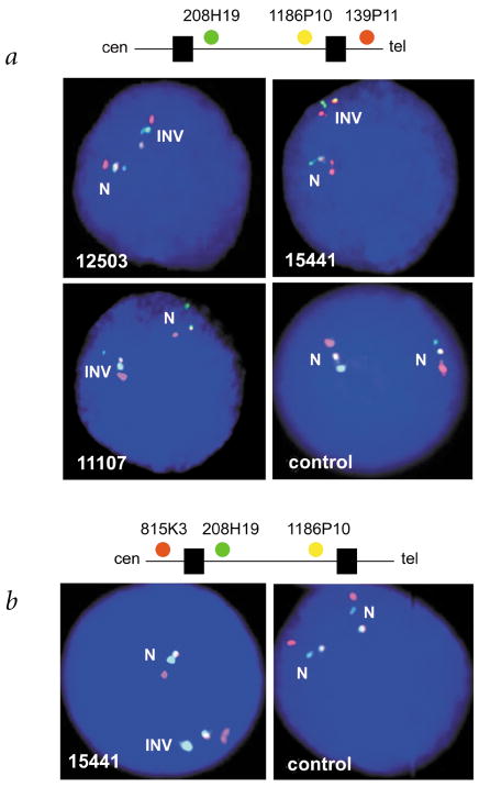 Fig. 2