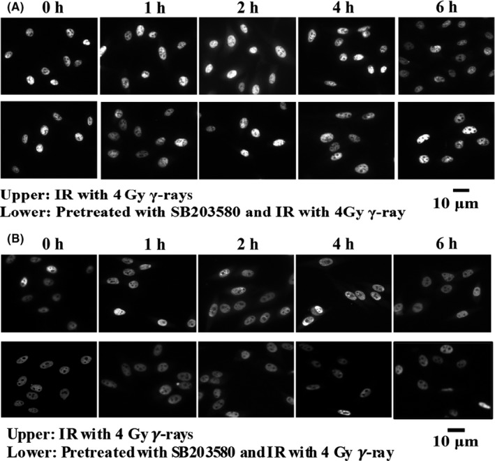 Figure 10