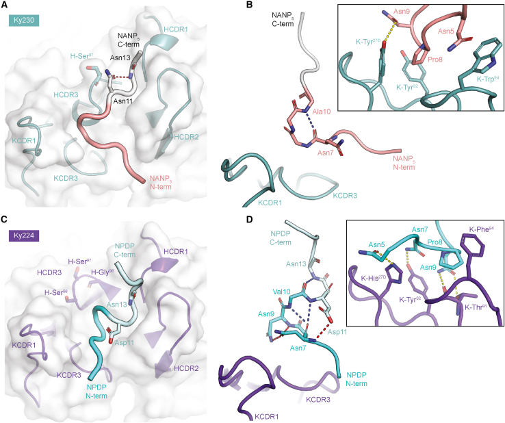 Figure 7