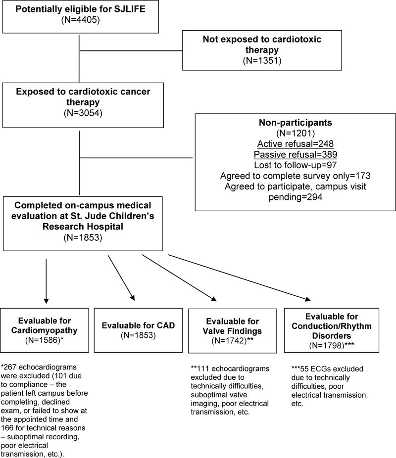 Appendix Figure 1