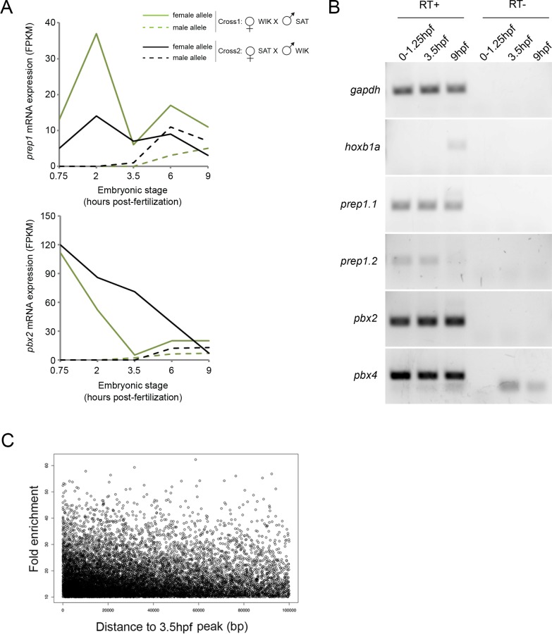 Figure 2—figure supplement 1.