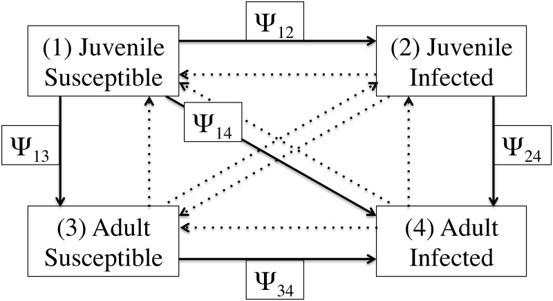 Fig 1