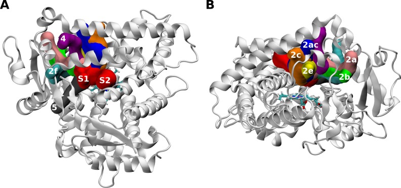 Fig 6