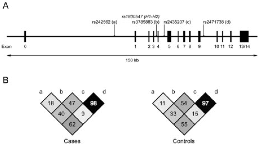 Fig. 1