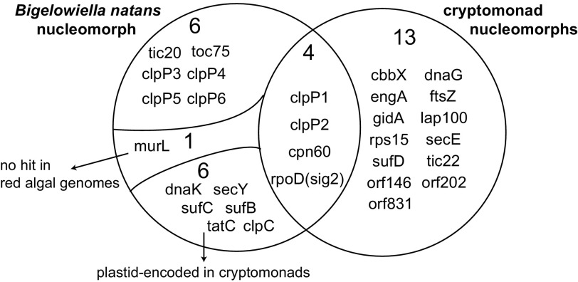 FIG. 4.—