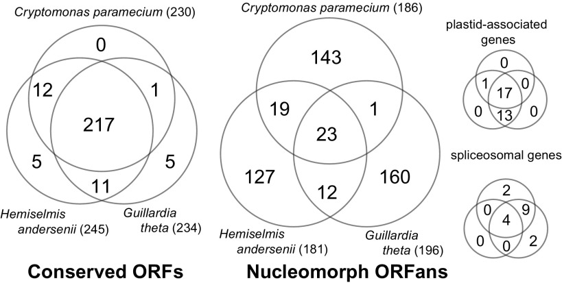 FIG. 2.—