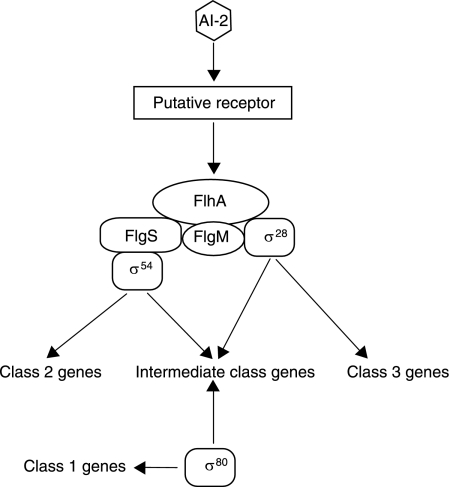 FIG. 5.