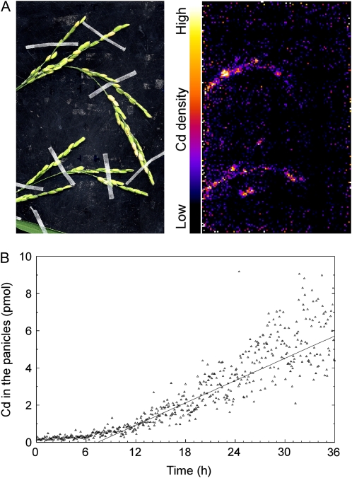 Figure 6.