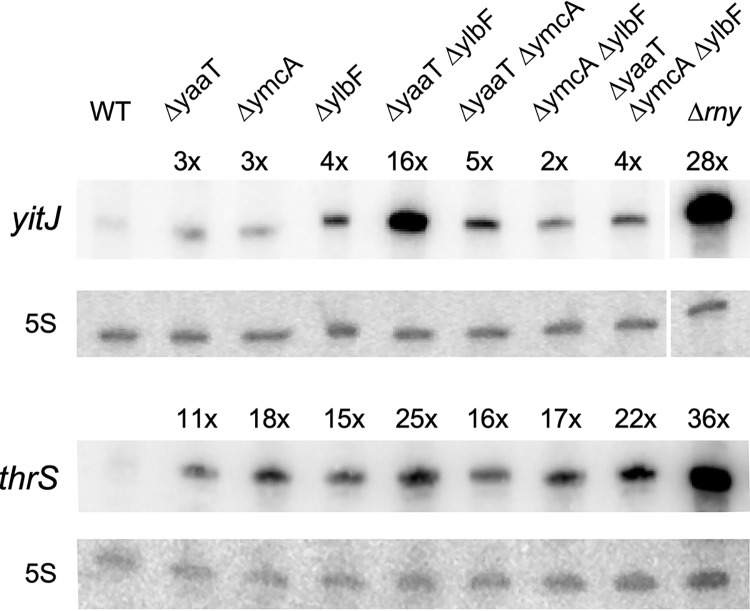 FIG 5