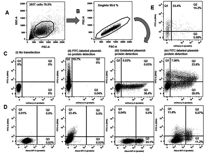 Figure 2.