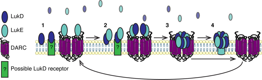 Figure 7.