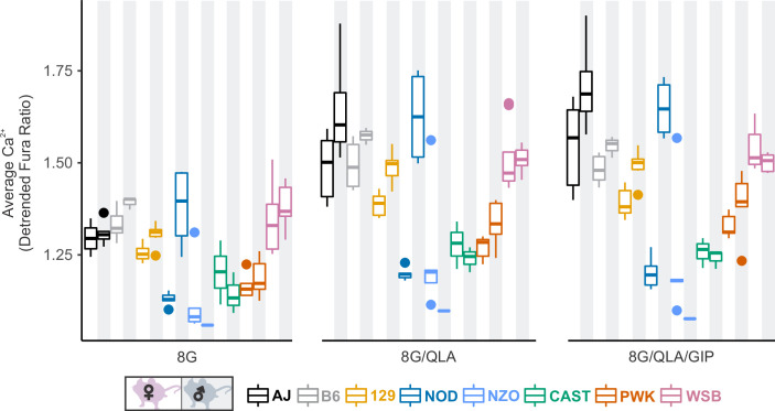 Figure 3—figure supplement 1.