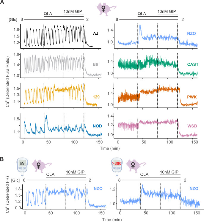 Figure 1—figure supplement 1.