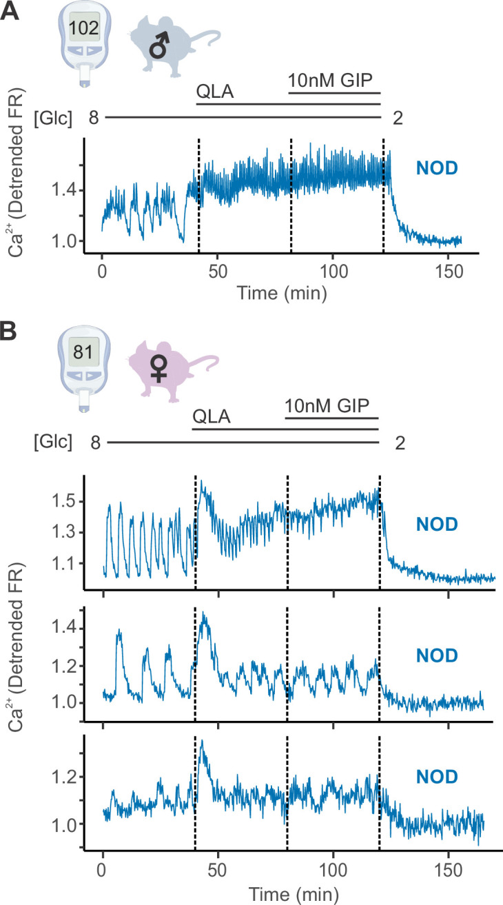 Figure 1—figure supplement 2.