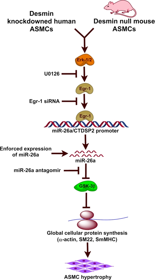 FIGURE 9.