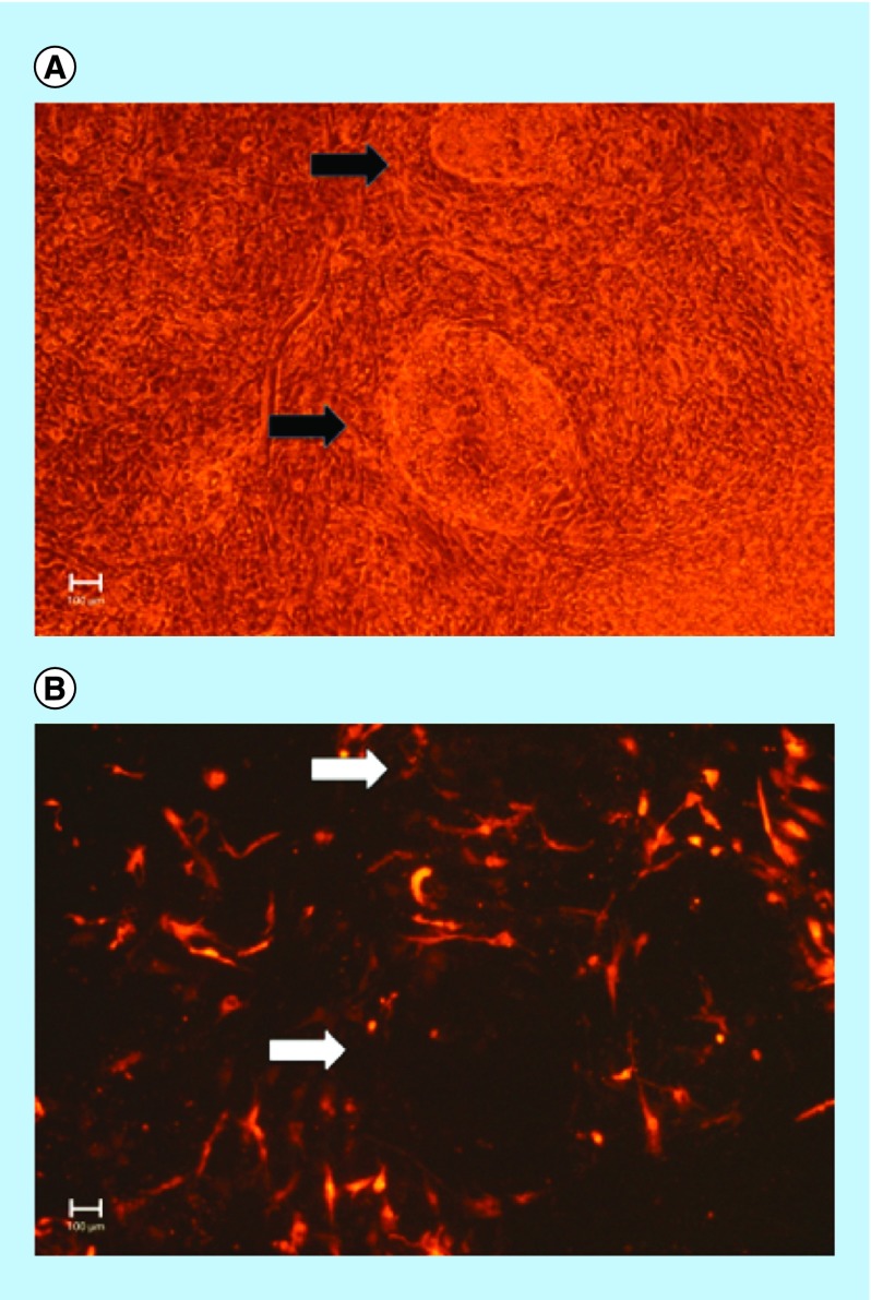 Figure 3. 