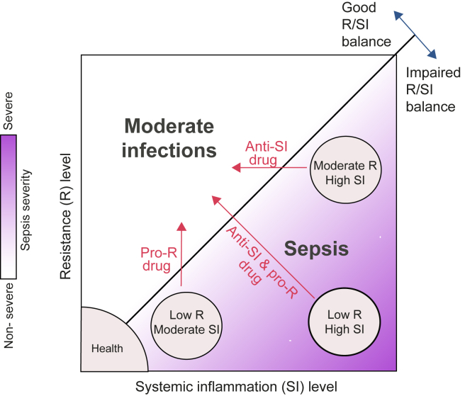 Figure 5