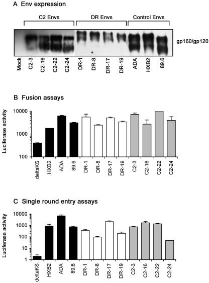 FIG. 1.