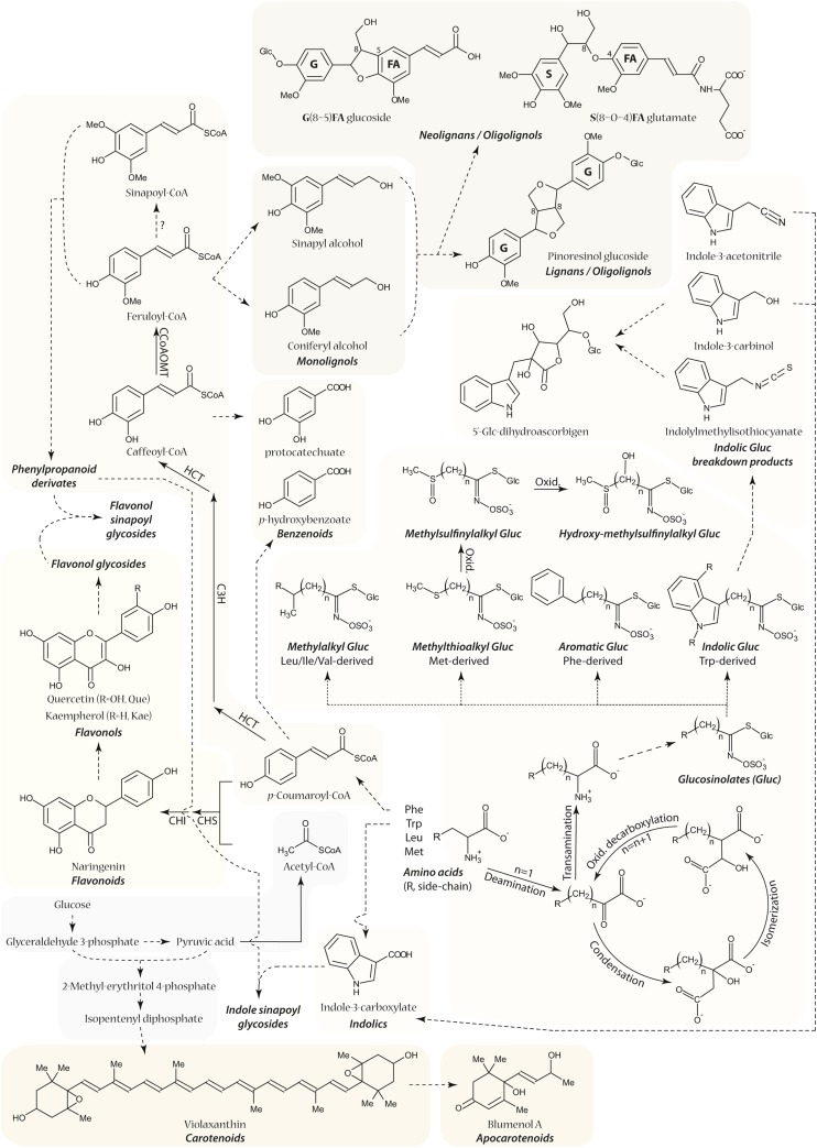 Figure 5.