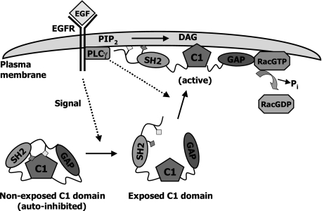 FIGURE 10.