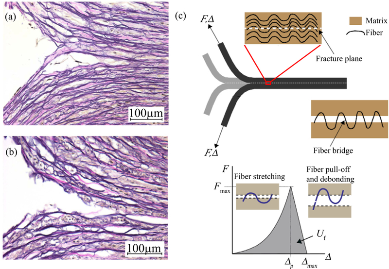 Fig. 9.