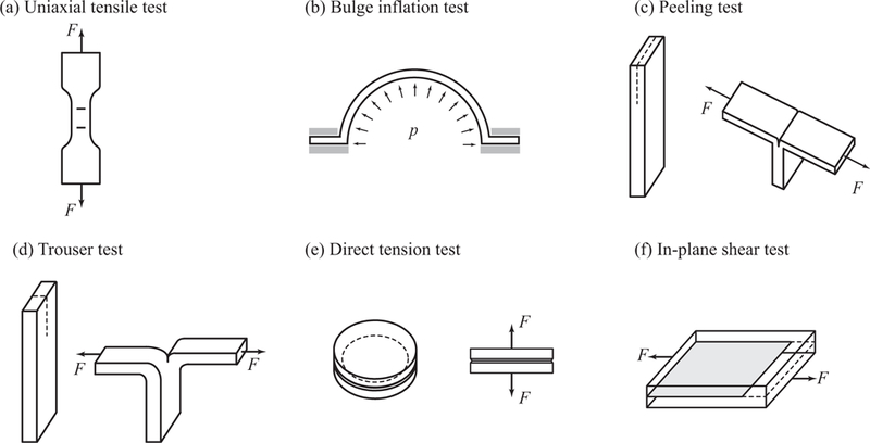 Fig. 7.