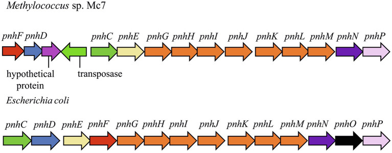 Figure 7