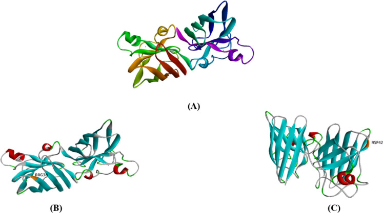 Fig. 5