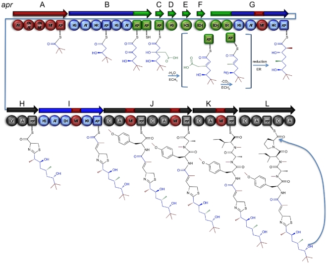 Figure 6
