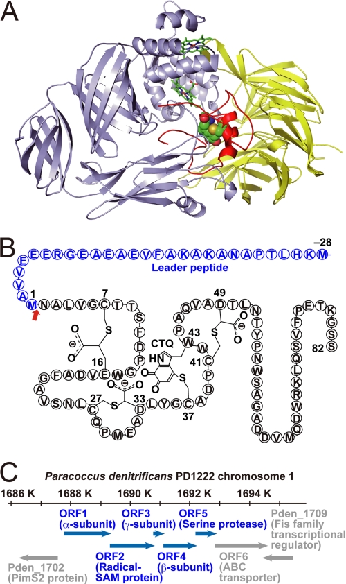 FIGURE 1.