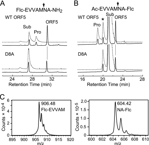 FIGURE 5.