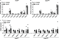 Figures 6A and 6B are clustered bar graphs titled pregnane X receptor flox mice and intestinal epithelial cell specific pregnane X receptor deficient, plotting plasma ceramide (micromolar), ranging from 0 to 5 in unit increments (y-axis) across uppercase c 12 colon 0, uppercase c 14 colon 0, uppercase c 16 colon 0, uppercase c 18 colon 0, uppercase c 18 colon 1, uppercase c 20 colon 0, uppercase c 22 colon 0, uppercase c 24 colon 0, and uppercase c 24 colon 1 (x-axis) for control and Dicyclohexyl phthalate, respectively. Figure 6C is a set of two clustered bar graphs, plotting messenger ribonucleic acid expression, ranging from 0 to 5 in unit increments (y-axis) across pregnane X receptor flox mice and intestinal epithelial cell specific pregnane X receptor deficient each includes Glucosylceramidase Beta 1, Neuraminidase 3, Ceramide synthase 4, Sphingomyelin Phosphodiesterase 1, Sphingomyelin Phosphodiesterase 3, and Ectonucleotide Pyrophosphatase or Phosphodiesterase 7 (x-axis) for control and Dicyclohexyl phthalate, respectively.