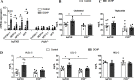 Figure 7A is a set of two clustered bar graphs, plotting messenger ribonucleic acid expression, ranging from 0 to 15 in increments of 5 (y-axis) across humanized mice pregnane X receptor and pregnane X receptor humanized murine pregnane X receptor deficient each includes Cytochrome P450 3 A2, Multidrug resistance protein 1a, Niemann-Pick C 1-Like 1, microsomal triglyceride transfer protein (x-axis) for control and Dicyclohexyl phthalate, respectively. Figures 7B and 7C are clustered bar graphs titled Cholesterol and Triglyceride, plotting milligram per deciliter, ranging from 0 to 200 in increments of 50 and 0 to 80 in increments of 20 (y-axis) across humanized mice pregnane X receptor and pregnane X receptor humanized murine pregnane X receptor deficient (x-axis) for control and Dicyclohexyl phthalate, respectively. Figures 7D is a set of three clustered bar graphs titled Very-low-density lipoproteins-cholesterol, Low-density lipoprotein-cholesterol, and High-density lipoprotein-cholesterol, plotting milligram per deciliter, ranging from 0 to 5 in unit increments, 0 to 50 in increments of 10, and 0 to 100 in increments of 20 (y-axis) across humanized mice pregnane X receptor and pregnane X receptor humanized murine pregnane X receptor deficient (x-axis) for control and Dicyclohexyl phthalate, respectively.