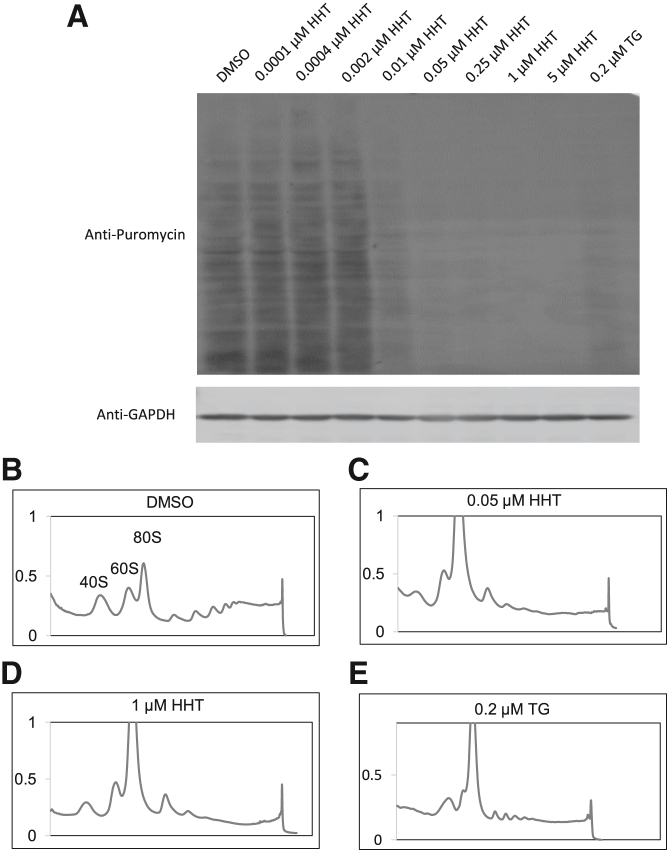 Figure 7