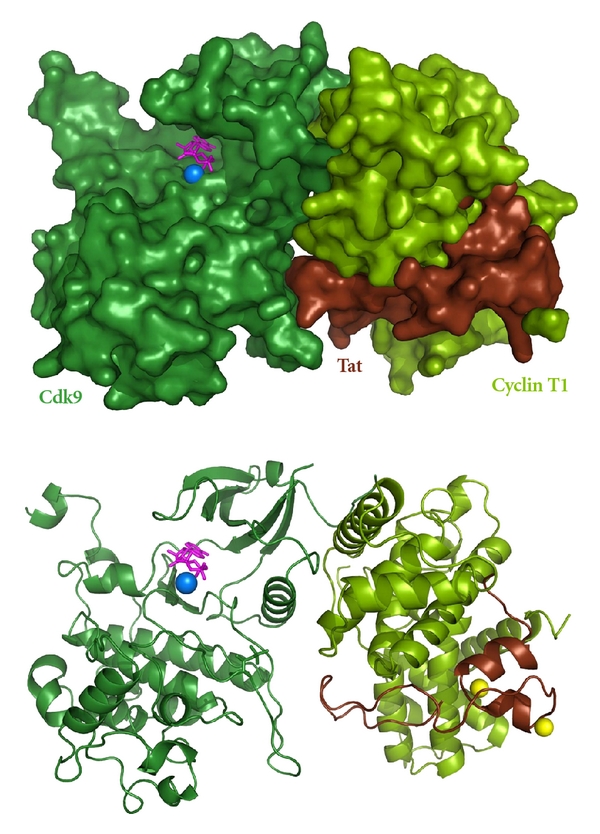 Figure 2