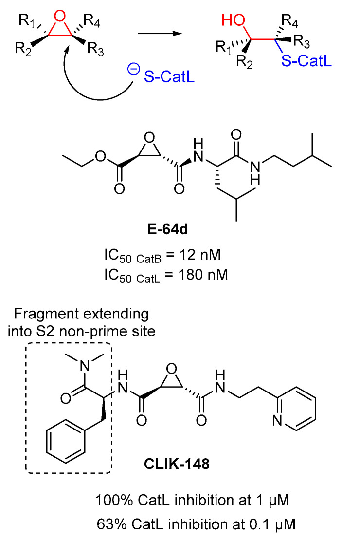 Figure 15