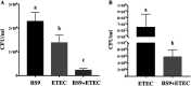 FIG 2