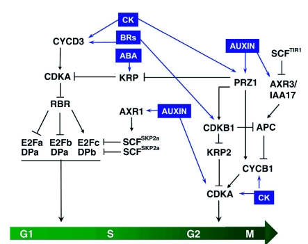 Figure 7.