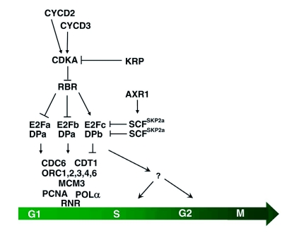 Figure 2.