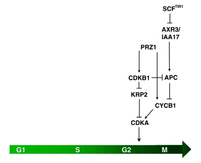 Figure 3.